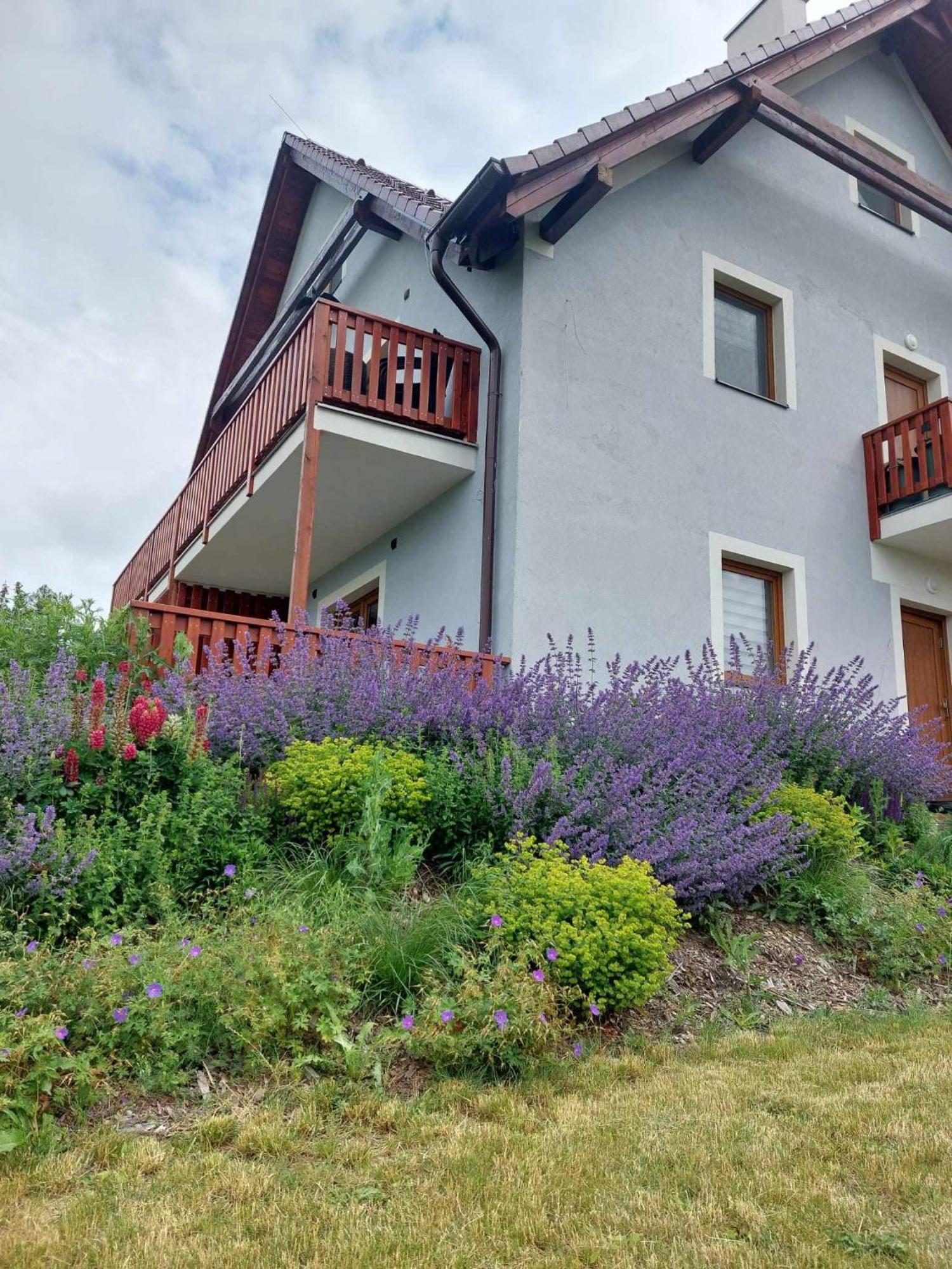 Apartman Felix Vaclavov u Bruntalu エクステリア 写真